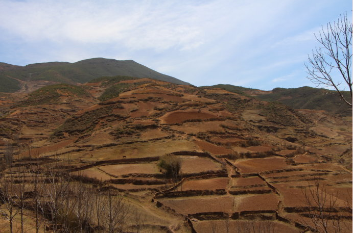 播种成长的种子记凉山州布拖县2个女童班2013年春季探访